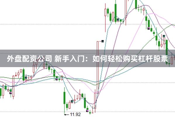 外盘配资公司 新手入门：如何轻松购买杠杆股票