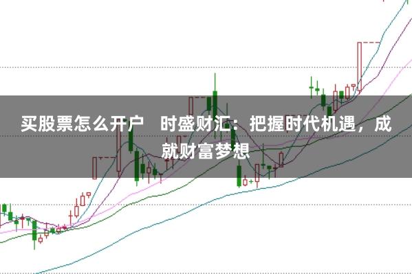 买股票怎么开户   时盛财汇：把握时代机遇，成就财富梦想