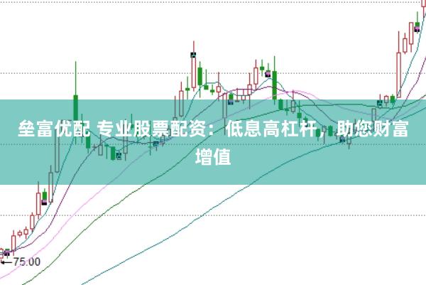 垒富优配 专业股票配资：低息高杠杆，助您财富增值