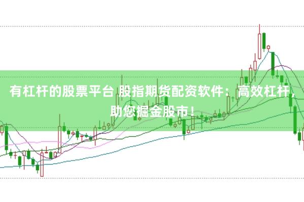 有杠杆的股票平台 股指期货配资软件：高效杠杆，助您掘金股市！