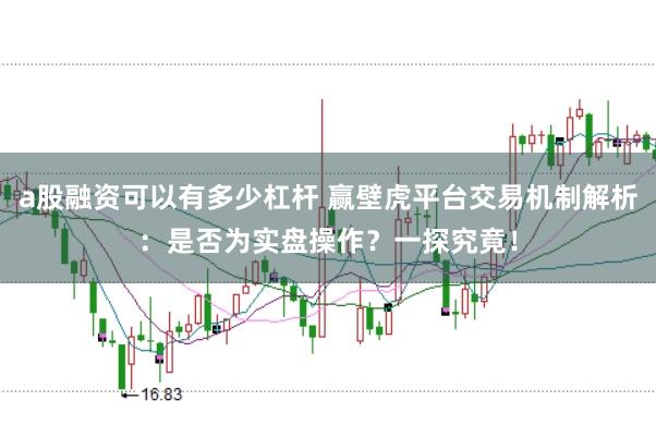 a股融资可以有多少杠杆 赢壁虎平台交易机制解析：是否为实盘操作？一探究竟！