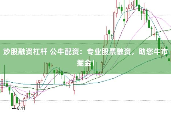 炒股融资杠杆 公牛配资：专业股票融资，助您牛市掘金！