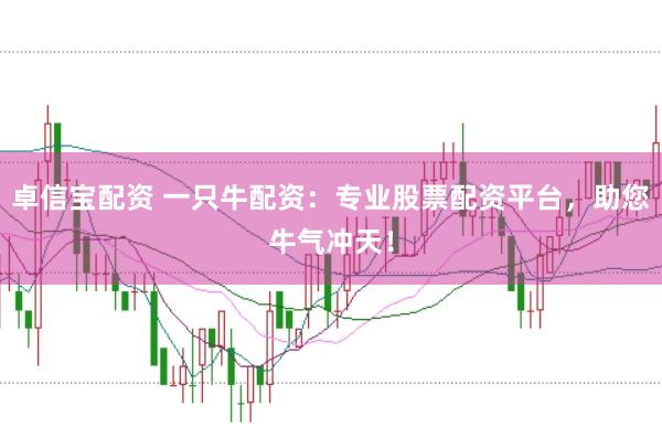 卓信宝配资 一只牛配资：专业股票配资平台，助您牛气冲天！