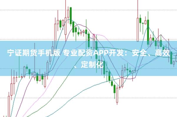 宁证期货手机版 专业配资APP开发：安全、高效、定制化