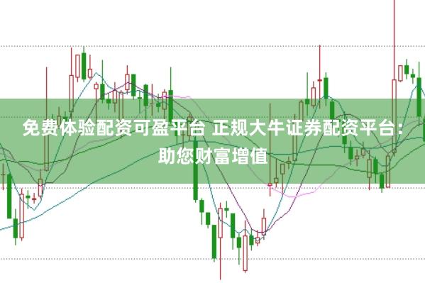 免费体验配资可盈平台 正规大牛证券配资平台：助您财富增值