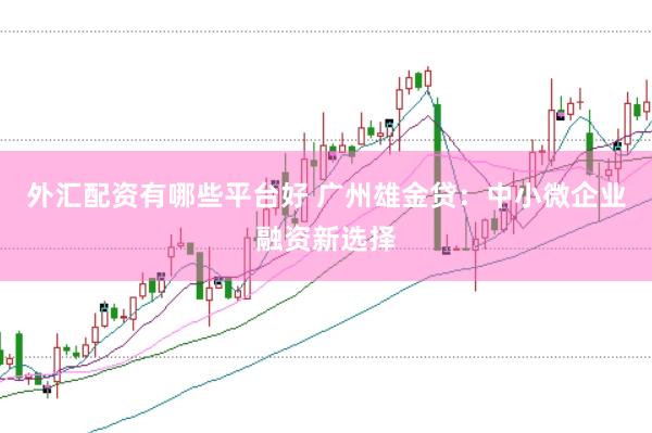 外汇配资有哪些平台好 广州雄金贷：中小微企业融资新选择