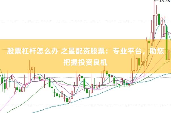 股票杠杆怎么办 之星配资股票：专业平台，助您把握投资良机