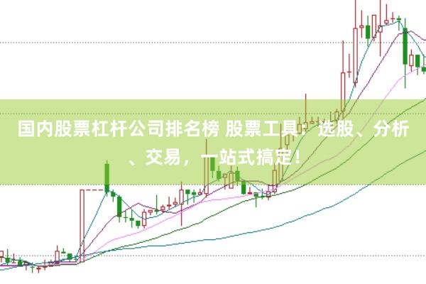 国内股票杠杆公司排名榜 股票工具：选股、分析、交易，一站式搞定！