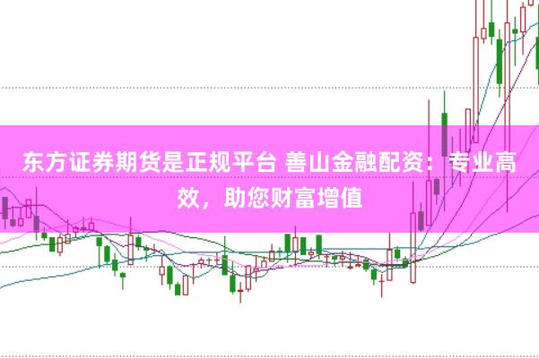 东方证券期货是正规平台 善山金融配资：专业高效，助您财富增值