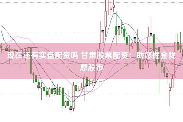 现在还有实盘配资吗 甘肃股票配资：助您掘金陇原股市