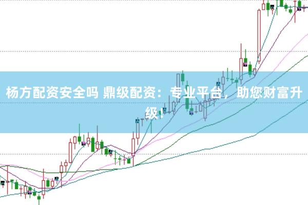 杨方配资安全吗 鼎级配资：专业平台，助您财富升级！