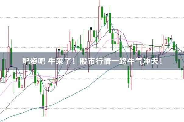 配资吧 牛来了!股市行情一路牛气冲天!