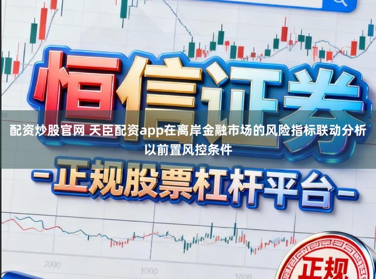 配资炒股官网 天臣配资app在离岸金融市场的风险指标联动分析以前置风控条件