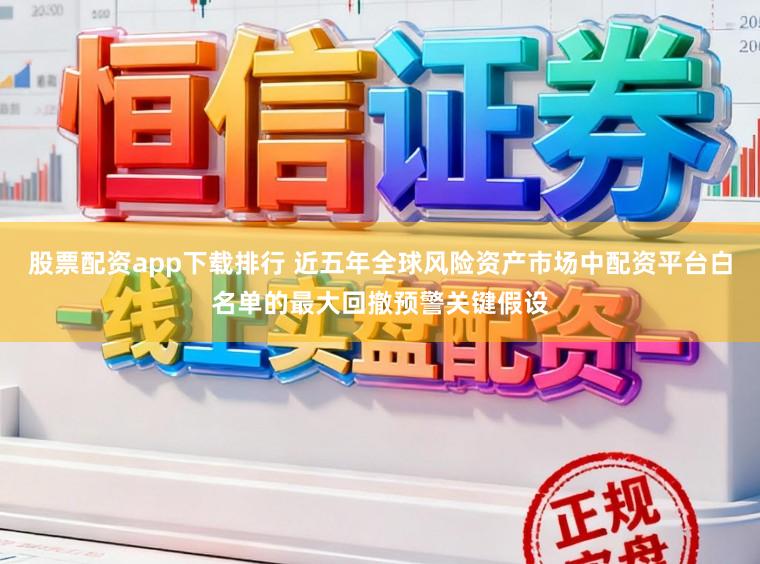 股票配资app下载排行 近五年全球风险资产市场中配资平台白名单的最大回撤预警关键假设