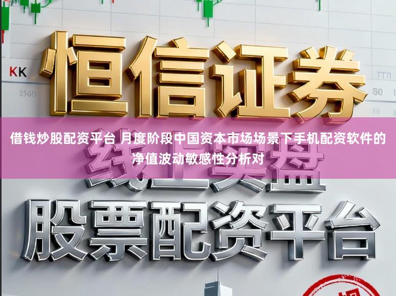 借钱炒股配资平台 月度阶段中国资本市场场景下手机配资软件的净值波动敏感性分析对